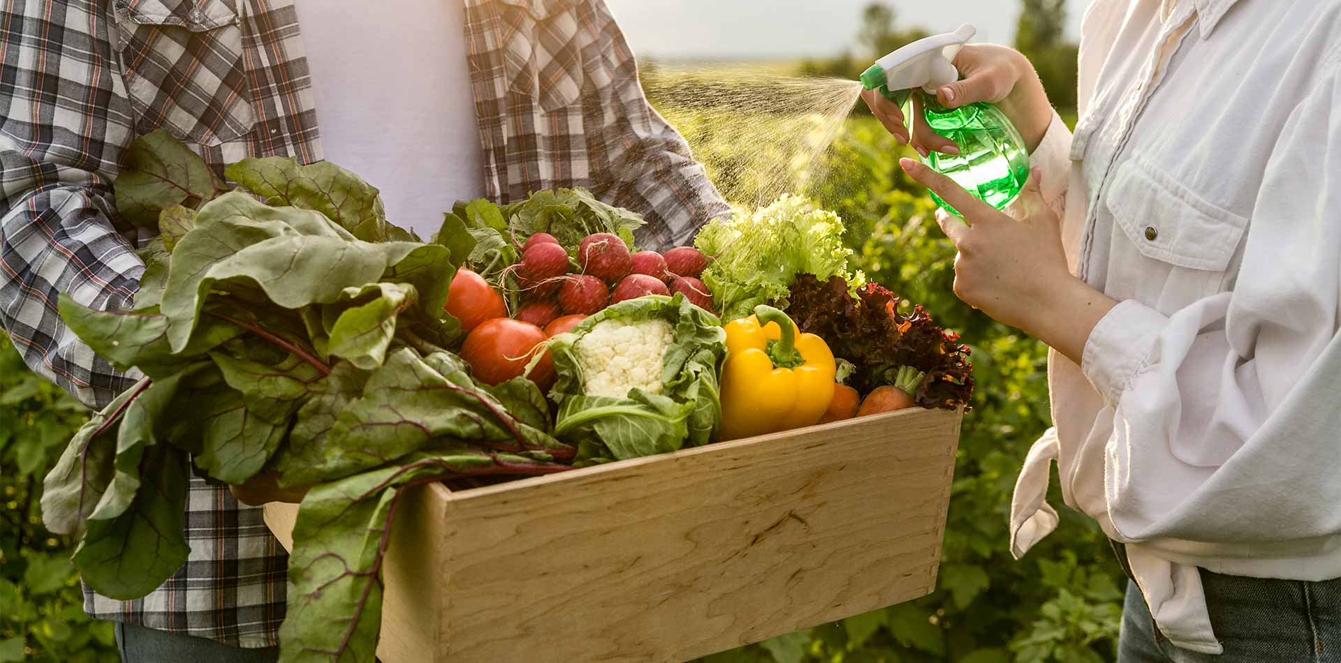 Agricultura Familiar